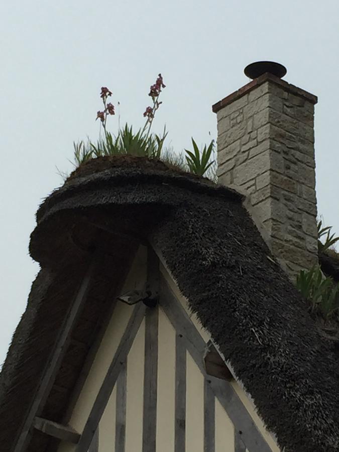 Le Clos Du Phare *